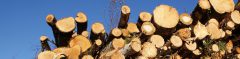 Zin en onzin over biomassa
